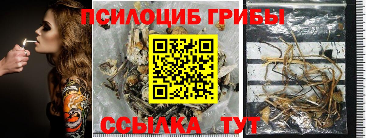 Галлюциногенные грибы MAGIC MUSHROOMS Стрежевой
