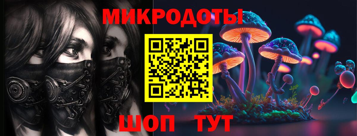 закладки  Вход с VPN  Стрежевой  Галлюциногенные грибы Psilocybe 